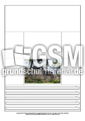 Popup-Buch-Zebra-A-1-5.pdf